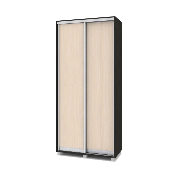 Шкафы-купе "Роланд"Р481