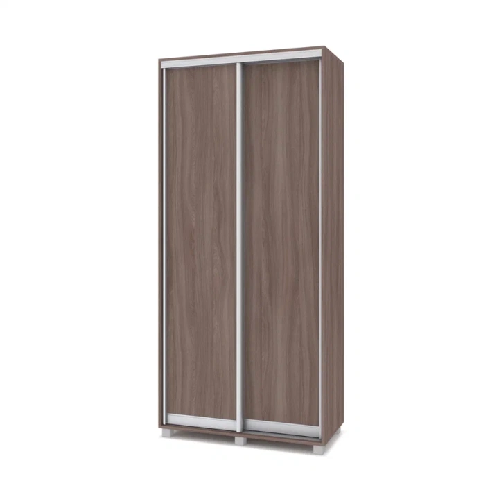 Шкафы-купе "Роланд"Р481